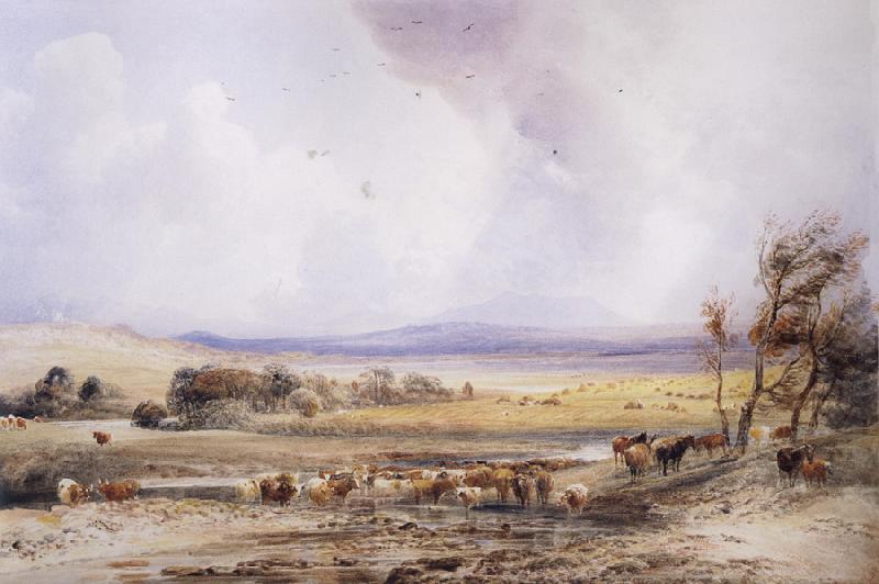 Peter Dewint View on the Lowther,with Cattle in the Water oil painting image